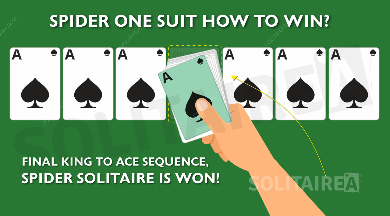Image showing the objective /layout of the Spider Solitaire game.