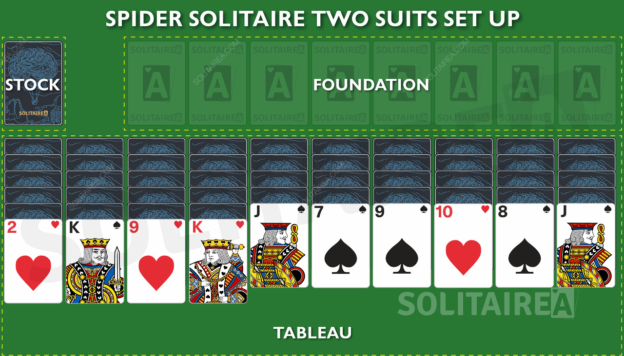 The Set Up of Spider Solitaire 2 Suits