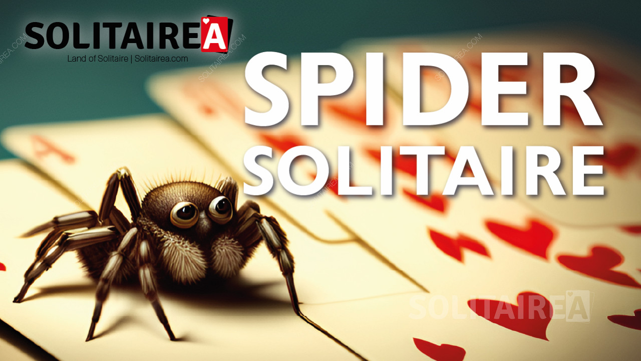 Play Spider Solitaire and Challenge Your Mind While Relaxing